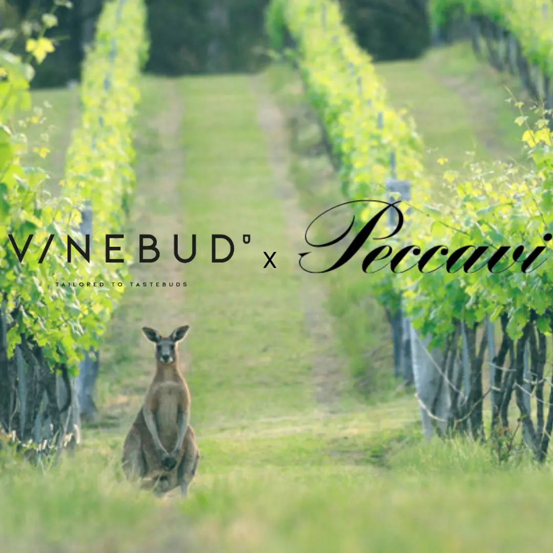 Image of Vinebud x Peccavi